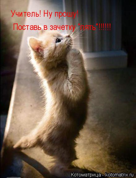 Учитель! Ну прошу! Поставь в зачетку "пять"!!!!!! Учитель! Ну прошу! Поставь в зачетку "пять"!!!!!!... Котоматрица: Учитель! Ну прошу! Поставь в зачетку "пять"!!!!!! Учитель! Ну прошу! Поставь в зачетку "пять"!!!!!!