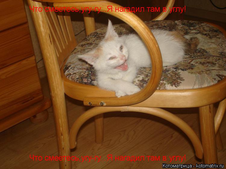 Что смеетесь,угу-гу...Я нагадил там в углу! Что смеетесь,угу-гу...Я нагадил там в углу!... Котоматрица: Что смеетесь,угу-гу...Я нагадил там в углу! Что смеетесь,угу-гу...Я нагадил там в углу!