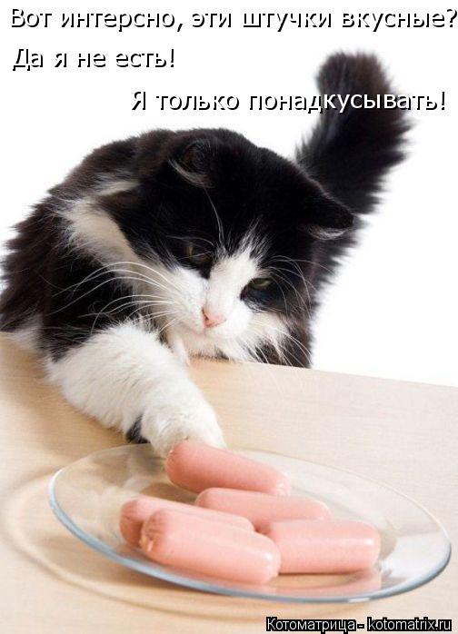 Вот интерсно, эти штучки вкусные? Да я не есть! Я только понадкусывать!... Котоматрица: Вот интерсно, эти штучки вкусные? Да я не есть! Я только понадкусывать!