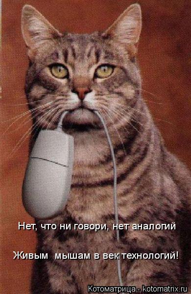 Нет, что ни говори, нет аналогий Живым мышам в век технологий!... Котоматрица: Нет, что ни говори, нет аналогий Живым мышам в век технологий!