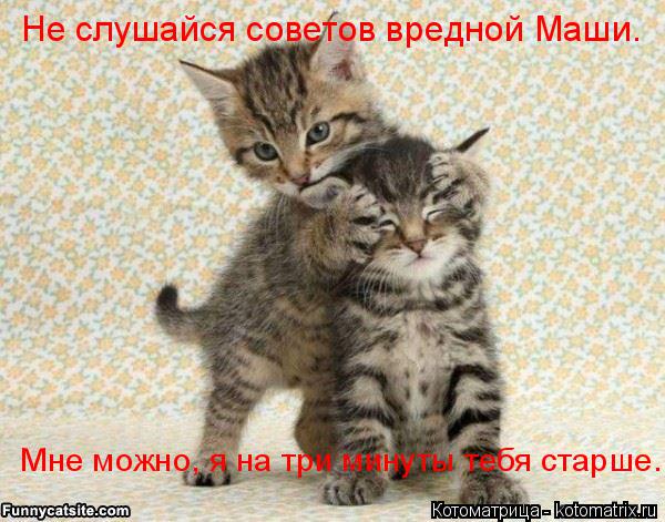 Не слушайся советов вредной Маши. Мне можно, я на три минуты тебя старше.... Котоматрица: Не слушайся советов вредной Маши. Мне можно, я на три минуты тебя старше.