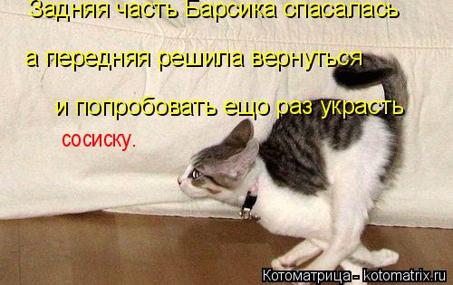 Задняя часть Барсика спасалась а передняя решила вернуться и попробовать ещо раз украсть сосиску.... Котоматрица: Задняя часть Барсика спасалась а передняя решила вернуться и попробовать ещо раз украсть сосиску.