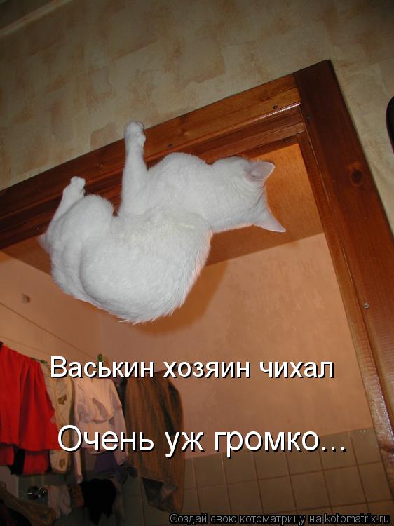 Васькин хозяин чихал Очень уж громко...... Котоматрица: Васькин хозяин чихал Очень уж громко...
