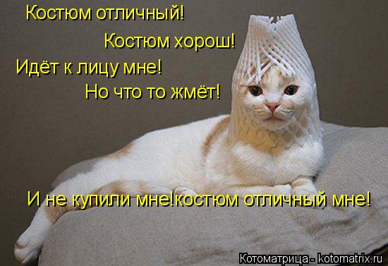 Костюм отличный! Костюм хорош! Идёт к лицу мне! Но что то жмёт! И не купили мне!костюм отличный мне!... Котоматрица: Костюм отличный! Костюм хорош! Идёт к лицу мне! Но что то жмёт! И не купили мне!костюм отличный мне!
