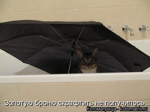 Золотую броню скрафтить не получилось...... Котоматрица: Золотую броню скрафтить не получилось...