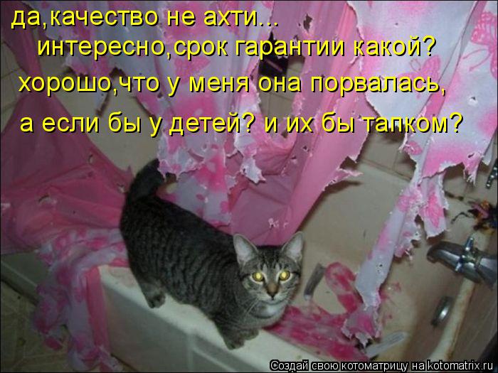 да,качество не ахти... интересно,срок гарантии какой? хорошо,что у меня она порвалась, а если бы у де... Котоматрица: да,качество не ахти... интересно,срок гарантии какой? хорошо,что у меня она порвалась, а если бы у детей? и их бы тапком?
