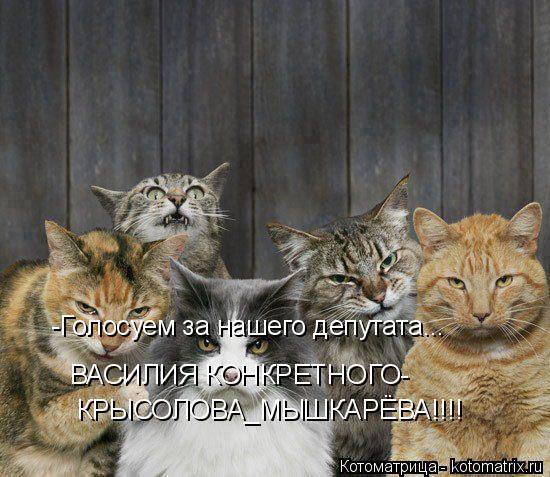 -Голосуем за нашего депутата... ВАСИЛИЯ КОНКРЕТНОГО- КРЫСОЛОВА_МЫШКАРЁВА!!!!... Котоматрица: -Голосуем за нашего депутата... ВАСИЛИЯ КОНКРЕТНОГО- КРЫСОЛОВА_МЫШКАРЁВА!!!!