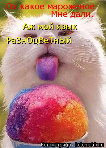 Ох какое мароженое РаЗнОцВеТнЫй Аж мой язык Мне дали.... Котоматрица: Ох какое мароженое РаЗнОцВеТнЫй Аж мой язык Мне дали.