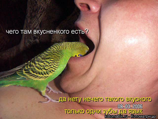 чего там вкусненкого есть? да нету нечего такого вкусного только одни зубы да язык... Котоматрица: чего там вкусненкого есть? да нету нечего такого вкусного только одни зубы да язык