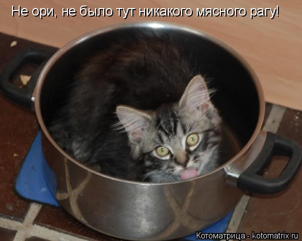 Не ори, не было тут никакого мясного рагу!... Котоматрица: Не ори, не было тут никакого мясного рагу!
