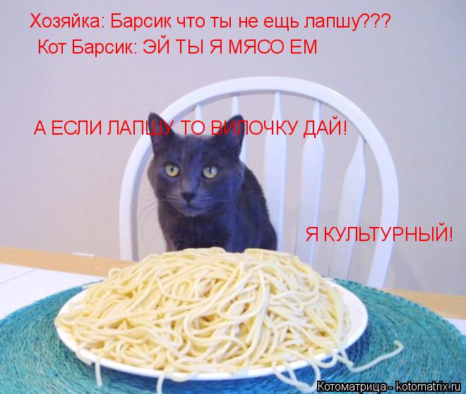 Хозяйка: Барсик что ты не ещь лапшу??? Кот Барсик: ЭЙ ТЫ Я МЯСО ЕМ А ЕСЛИ ЛАПШУ ТО ВИЛОЧКУ ДАЙ! Я КУ... Котоматрица: Хозяйка: Барсик что ты не ещь лапшу??? Кот Барсик: ЭЙ ТЫ Я МЯСО ЕМ А ЕСЛИ ЛАПШУ ТО ВИЛОЧКУ ДАЙ! Я КУЛЬТУРНЫЙ!