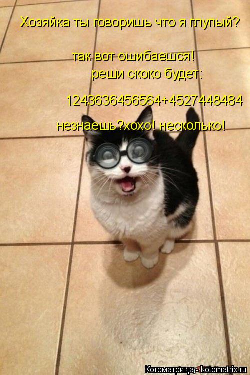 Хозяйка ты говоришь что я глупый? так вот ошибаешся! реши скоко будет: 1243636456564+4527448484 незна... Котоматрица: Хозяйка ты говоришь что я глупый? так вот ошибаешся! реши скоко будет: 1243636456564+4527448484 незнаешь?хохо! несколько!
