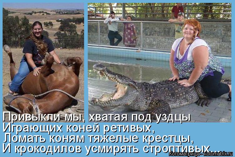 И крокодилов усмирять строптивых... Ломать коням тяжелые крестцы, Играющих коней ретивых, Привыкли мы... Котоматрица: И крокодилов усмирять строптивых... Ломать коням тяжелые крестцы, Играющих коней ретивых, Привыкли мы, хватая под уздцы