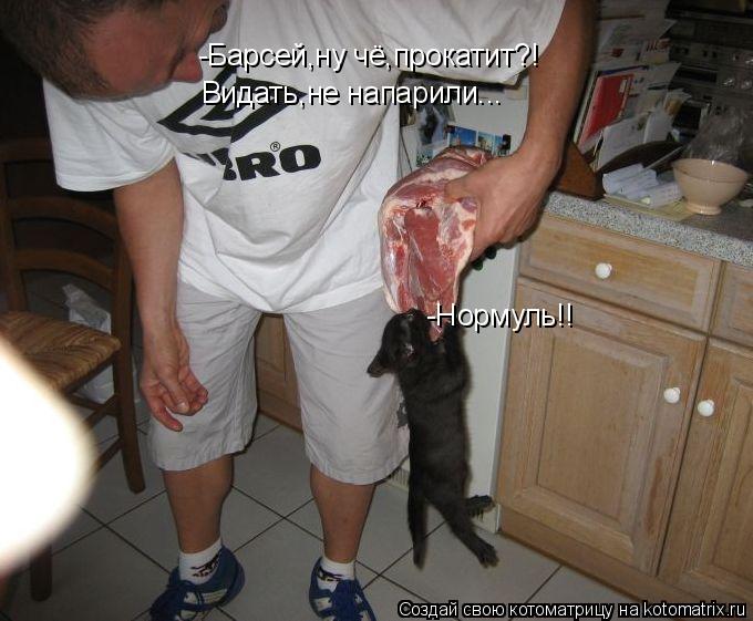 -Барсей,ну чё,прокатит?! Видать,не напарили... -Нормуль!!... Котоматрица: -Барсей,ну чё,прокатит?! Видать,не напарили... -Нормуль!!