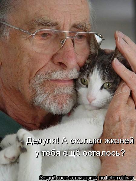 - Дедуля! А сколько жизней у тебя ещё осталось?... Котоматрица: - Дедуля! А сколько жизней у тебя ещё осталось?