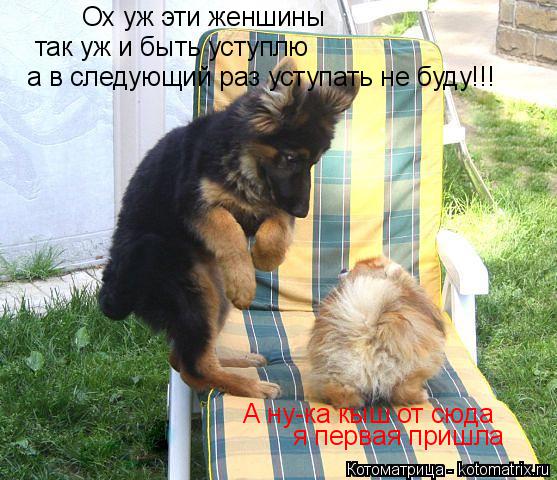А ну-ка кыш от сюда я первая пришла Ох уж эти женшины так уж и быть уступлю а в следующий раз уступат... Котоматрица: А ну-ка кыш от сюда я первая пришла Ох уж эти женшины так уж и быть уступлю а в следующий раз уступать не буду!!!
