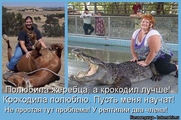 Полюбила жеребца, а крокодил лучше! Крокодила полюблю. Пусть меня научат! Не простая тут проблема! У ... Котоматрица: Полюбила жеребца, а крокодил лучше! Крокодила полюблю. Пусть меня научат! Не простая тут проблема! У рептилии два члена!
