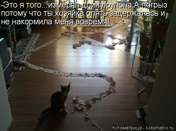 -Это я того...измерял длину рулона.А погрыз потому что ты,хозяйка,опять задержалась и не накормила ме... Котоматрица: -Это я того...измерял длину рулона.А погрыз потому что ты,хозяйка,опять задержалась и не накормила меня вовремя!