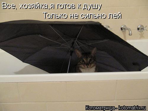 Все, хозяйка,я готов к душу Только не сильно лей... Котоматрица: Все, хозяйка,я готов к душу Только не сильно лей