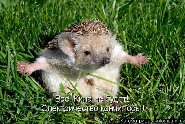 Все! Кина не будет! Электричество кончилось!!... Котоматрица: Все! Кина не будет! Электричество кончилось!!