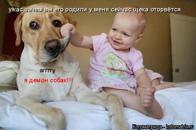 ужас зачем вы его родили у меня сейчас щека оторвётся я демон собак!!! аггггу... Котоматрица: ужас зачем вы его родили у меня сейчас щека оторвётся я демон собак!!! аггггу