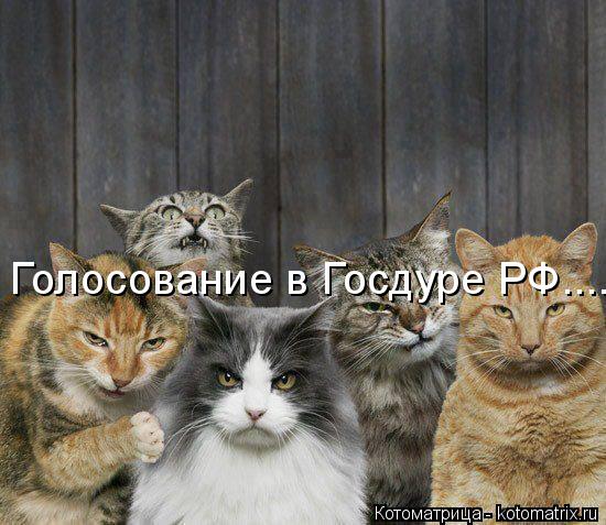 Голосование в Госдуре РФ....... Котоматрица: Голосование в Госдуре РФ....