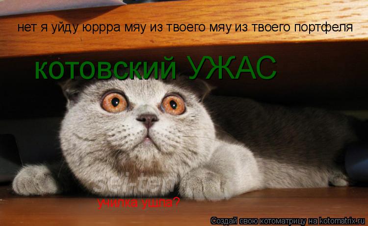 училка ушла? нет я уйду юррра мяу из твоего мяу из твоего портфеля котовский УЖАС... Котоматрица: училка ушла? нет я уйду юррра мяу из твоего мяу из твоего портфеля котовский УЖАС