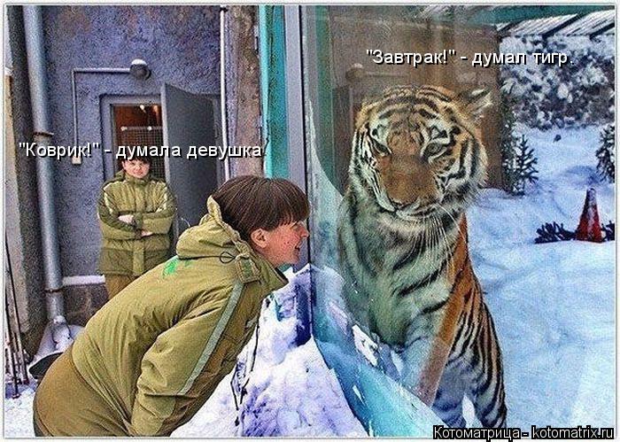 "Коврик!" - думала девушка "Завтрак!" - думал тигр.... Котоматрица: "Коврик!" - думала девушка "Завтрак!" - думал тигр.