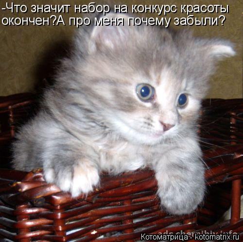-Что значит набор на конкурс красоты окончен?А про меня почему забыли?... Котоматрица: -Что значит набор на конкурс красоты окончен?А про меня почему забыли?