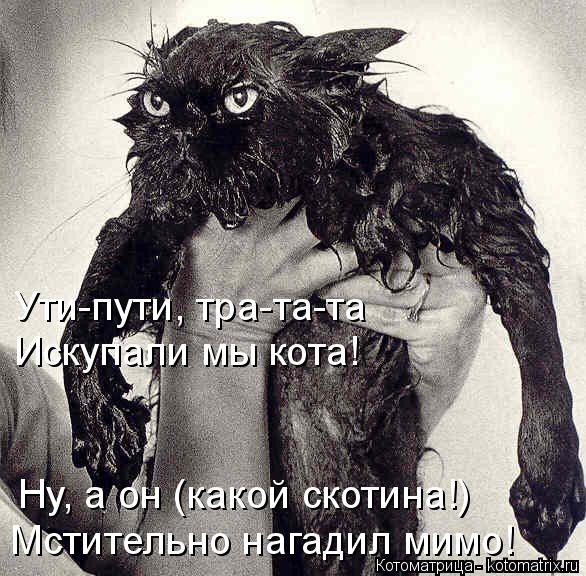 Ути-пути, тра-та-та Искупали мы кота! Ну, а он (какой скотина!) Мстительно нагадил мимо!... Котоматрица: Ути-пути, тра-та-та Искупали мы кота! Ну, а он (какой скотина!) Мстительно нагадил мимо!