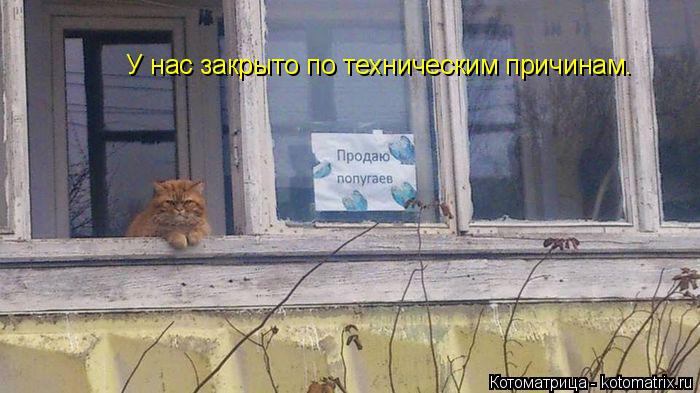 У нас закрыто по техническим причинам.... Котоматрица: У нас закрыто по техническим причинам.