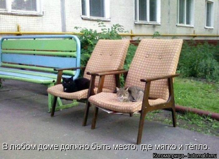 В любом доме должно быть место, где мягко и тепло.... Котоматрица: В любом доме должно быть место, где мягко и тепло.