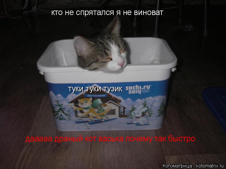 кто не спрятался я не виноват туки туки тузик дааааа драный кот васька почему так быстро... Котоматрица: кто не спрятался я не виноват туки туки тузик дааааа драный кот васька почему так быстро