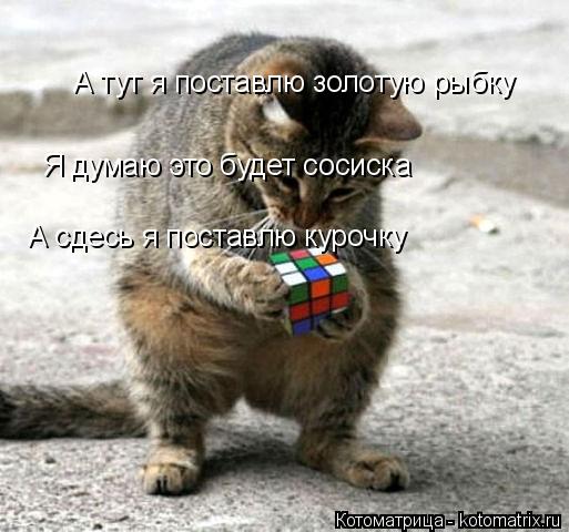 Я думаю это будет сосиска А сдесь я поставлю курочку А сдесь я поставлю курочку А тут я поставлю зо... Котоматрица: Я думаю это будет сосиска А сдесь я поставлю курочку А сдесь я поставлю курочку А тут я поставлю золотую рыбку А тут я поставлю золотую рыб
