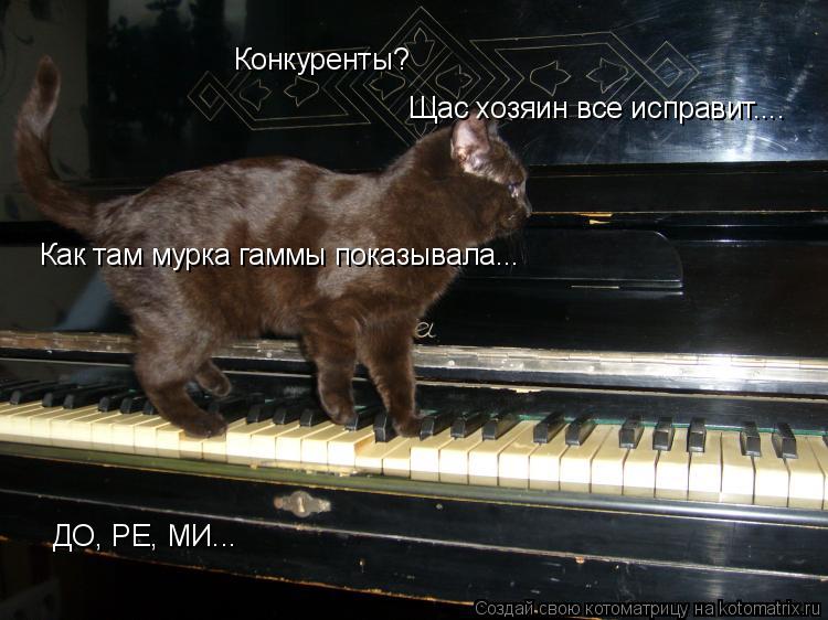 Конкуренты? Щас хозяин все исправит.... ДО, РЕ, МИ... ДО, РЕ, МИ... Как там мурка гаммы показывала...... Котоматрица: Конкуренты? Щас хозяин все исправит.... ДО, РЕ, МИ... ДО, РЕ, МИ... Как там мурка гаммы показывала...