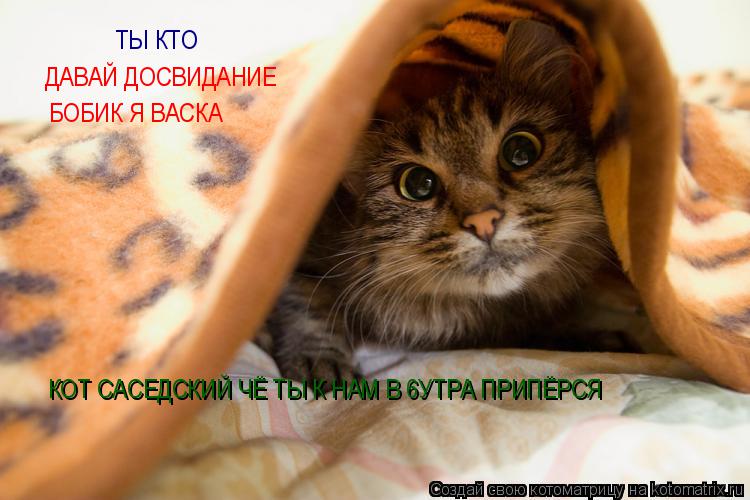 ТЫ КТО ДАВАЙ ДОСВИДАНИЕ БОБИК Я ВАСКА КОТ САСЕДСКИЙ ЧЁ ТЫ К НАМ В 6УТРА ПРИПЁРСЯ... Котоматрица: ТЫ КТО ДАВАЙ ДОСВИДАНИЕ БОБИК Я ВАСКА КОТ САСЕДСКИЙ ЧЁ ТЫ К НАМ В 6УТРА ПРИПЁРСЯ
