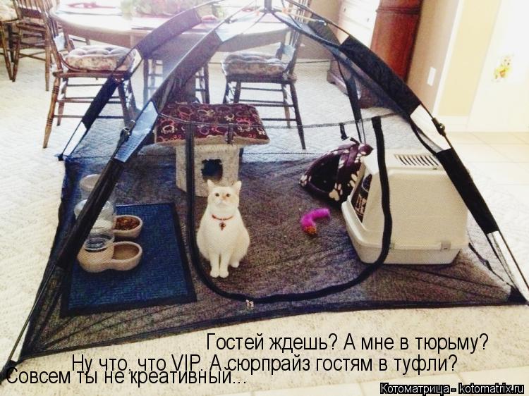Гостей ждешь? А мне в тюрьму? Ну что, что VIP. А сюрпрайз гостям в туфли? Совсем ты не креативный...... Котоматрица: Гостей ждешь? А мне в тюрьму? Ну что, что VIP. А сюрпрайз гостям в туфли? Совсем ты не креативный...