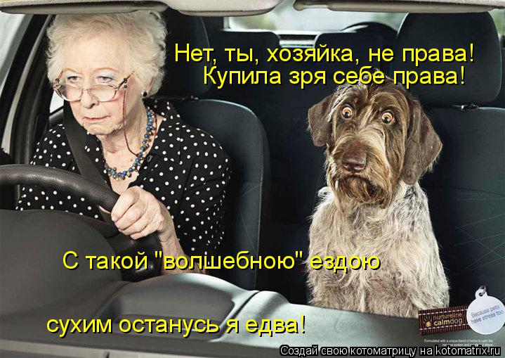 Нет, ты, хозяйка, не права! Купила зря себе права! С такой "волшебною" ездою сухим останусь я едва!... Котоматрица: Нет, ты, хозяйка, не права! Купила зря себе права! С такой "волшебною" ездою сухим останусь я едва!