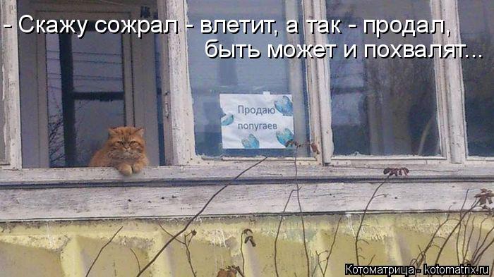 - Скажу сожрал - влетит, а так - продал, быть может и похвалят...... Котоматрица: - Скажу сожрал - влетит, а так - продал, быть может и похвалят...