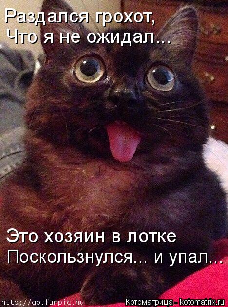 Раздался грохот, Что я не ожидал... Это хозяин в лотке Поскользнулся... и упал...... Котоматрица: Раздался грохот, Что я не ожидал... Это хозяин в лотке Поскользнулся... и упал...