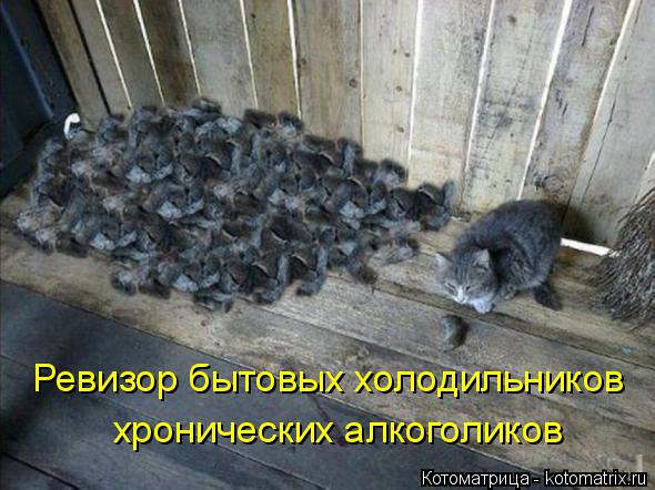 Ревизор бытовых холодильников хронических алкоголиков... Котоматрица: Ревизор бытовых холодильников хронических алкоголиков