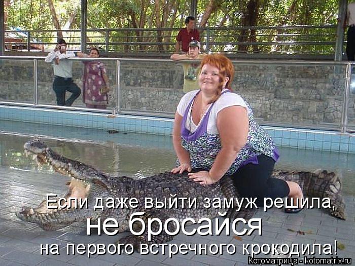 Если даже выйти замуж решила, на первого встречного крокодила! не бросайся... Котоматрица: Если даже выйти замуж решила, на первого встречного крокодила! не бросайся