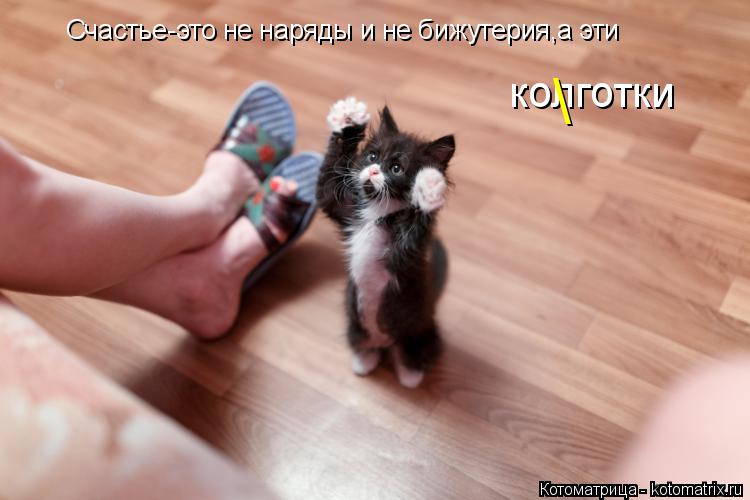 Счастье-это не наряды и не бижутерия,а эти колготки \... Котоматрица: Счастье-это не наряды и не бижутерия,а эти колготки \