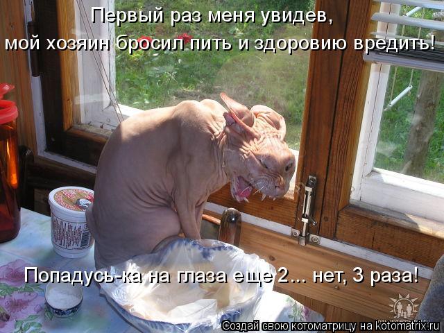 Первый раз меня увидев, мой хозяин бросил пить и здоровию вредить! Попадусь-ка на глаза еще 2... нет... Котоматрица: Первый раз меня увидев, мой хозяин бросил пить и здоровию вредить! Попадусь-ка на глаза еще 2... нет, 3 раза!