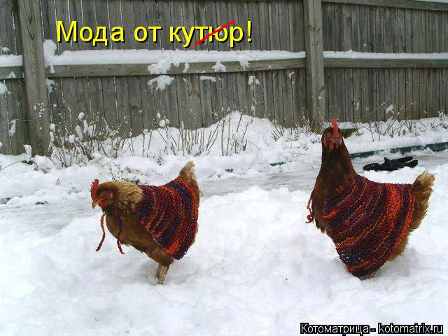 Мода от кутюр! ___... Котоматрица: Мода от кутюр! ___