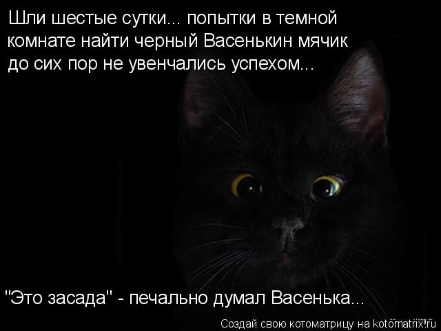 Шли шестые сутки... попытки в темной комнате найти черный Васенькин мячик до сих пор не увенчались у... Котоматрица: Шли шестые сутки... попытки в темной комнате найти черный Васенькин мячик до сих пор не увенчались успехом... "Это засада" - печально думал Ва