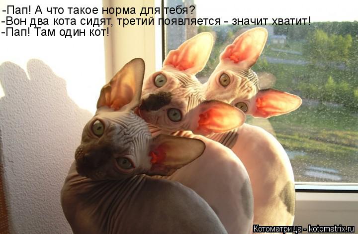 -Пап! А что такое норма для тебя? -Пап! Там один кот! -Вон два кота сидят, третий появляется - значит... Котоматрица: -Пап! А что такое норма для тебя? -Пап! Там один кот! -Вон два кота сидят, третий появляется - значит хватит!
