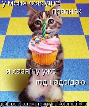 у меня сєводне празнек я хазяїну уже год надоїдаю... Котоматрица: у меня сєводне празнек я хазяїну уже год надоїдаю