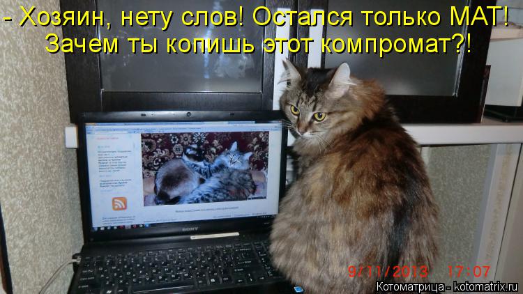 Котоматрица: - Хозяин, нету слов! Остался только МАТ! Зачем ты копишь этот компромат?!
