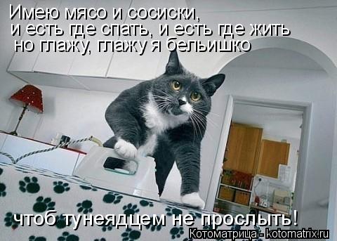 и есть где спать, и есть где жить но глажу, глажу я бельишко Имею мясо и сосиски, чтоб тунеядцем не п... Котоматрица: и есть где спать, и есть где жить но глажу, глажу я бельишко Имею мясо и сосиски, чтоб тунеядцем не прослыть!
